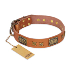 'Cosmic Traveller' FDT Artisan Adorned Leather Dog Collar with Old Bronze-Plated Stars and Plates 1 1/2 inch (40 mm) Wide