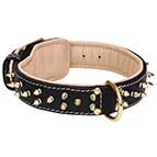 Gorgeous Leather Collar with Two Rows of Awesome Brass Spikes