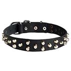 Fashionable Leather Dog Collar Decorated with Silvery Cones