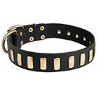 Fashion Studded Dog Collar with Sparkling Plates for Walking