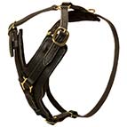 Fashion Dog Harness with Optional Handle for Dog Training and Walking