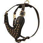 Studded Leather Dog Harness for Walking and Training