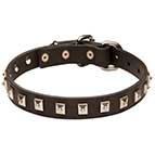 "Caterpillar Style" Leather Dog Collar with 1 Dotted Pyramids