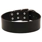 Universal Design Leather Dog Collar - 2 inch Wide