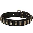 Dazzling Leather Dog Collar with Shiny Plates
