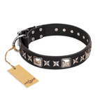 ‘Space Walk’ FDT Artisan Black Leather Dog Collar with Adornments