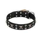 FDT Artisan Fancy Rock 'n' Roll Style Black Leather Dog Collar with Skulls, Bones and Studs 1 1/2 inch (40 mm) wide