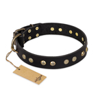 'Black Elegance' FDT Artisan Leather Dog Collar with Round Studs