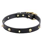 “Rock the Goth” Leather Dog Collar with Brass Spikes and Skulls