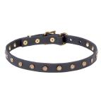 'Stars' Leather Dog Collar with Rustproof Hardware and Studs