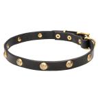 'Stamped Studs' Leather Dog Collar with Brass Hardware