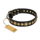 'Gold Mine' FDT Artisan Black Leather Dog Collar with Amazing Bronze-Plated Round Studs