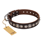 ‘Step and Sparkle’ FDT Artisan Glamorous Studded Brown Leather Dog Collar