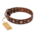 ‘Caprice of Fashion’ FDT Artisan Brown Leather Dog Collar with Round Decorations