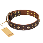 ‘High Fashion’ FDT Artisan Embellished Brown Leather Dog Collar
