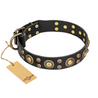 ‘Baroque Chic’ FDT Artisan Studded Black Leather Dog Collar