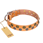‘Precious Sparkle’ FDT Artisan Handcrafted Tan Leather Dog Collar