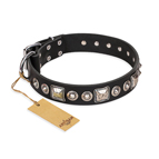 ‘Eternal Beauty and Style’ FDT Artisan Adorned Black Leather Dog Collar