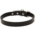 Thin Leather Dog Collar 1 inch (2.5cm) width