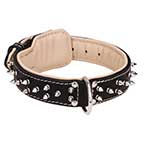 Creative Design Leather Dog Collar with 2 Rows of Nickel-plated Spikes