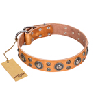 ‘Extra Sparkle’ FDT Artisan Handcrafted Tan Leather Dog Collar