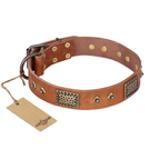 ‘Catchy Look’ FDT Artisan Decorated Tan Leather Dog Collar