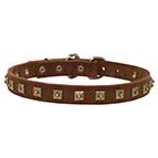 Gorgeous Leather Dog Collar with Square Brass Plated Studs