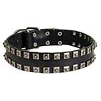 Fashion Dog Collar of Exclusive "Caterpillar" Design