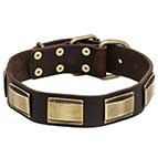 Handcrafted Leather Dog Collar with Brass Plates