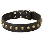 Everyday Wide Leather Dog Collar With Studded Decoration