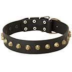 Designer Leather Dog Collar with Row of Brass Cones