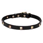 "Modern Style" Leather Dog Collar with Studs Made of Brass