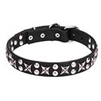 "Planets and Stars" Posh Leather Dog Collar with Stars and Studs 1 1/5 inch (30 mm) Wide