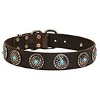 Equisite Leather Dog Collar with Silver Comchos with Blue Stones