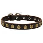Gorgeous Leather Dog Collar Decorated with Line of Dotted Studs