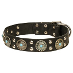 'Ace Style' Leather Dog Collar with Silver-like Decorations