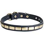 Classy Leather Collar Adorned with Brass Plates for Elegant Dogs