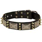 War Dog Leather Dog Collar with Old-looking massive Plates + 3 Brass Spikes
