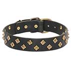 “Haute Couture” leather dog collar adorned with brass pyramids