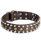 Vintage Leather Dog Collar with Pyramids and Studs