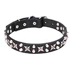 "Shining Stars" Fantastic Studded Leather Dog Collar with Chrome Plated Hardware 1 1/5 inch (30 mm) Wide