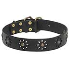 'Spring mood' Leather Dog Collar for Joyful Walking