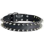 Walking and Training Smooth Spiked Leather Canine Collar