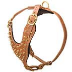 Designer Dog Harness with Brass Spikes for Walking and Training