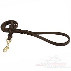 Handmade Leather Dog Leash for Walking and Tracking