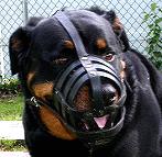 Walking and Training Adjustable Leather Cage Dog Muzzle - Easy to Breathe