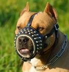 Loop-like Design Studded Leather Dog Muzzle for Pitbull Training and Walking