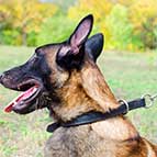 Malinois Leather Choke Collar