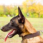 Multifunctional Malinois Leather Collar - c4- 1.5 inch (3.8cm) width