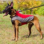 Malinois Warm Nylon Winter Coat for Walking